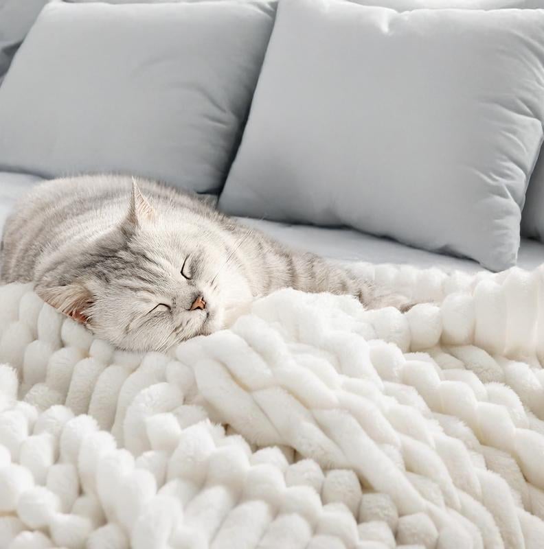 Thickened Plush Nap Blanket