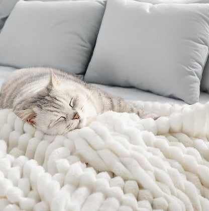 Thickened Plush Nap Blanket